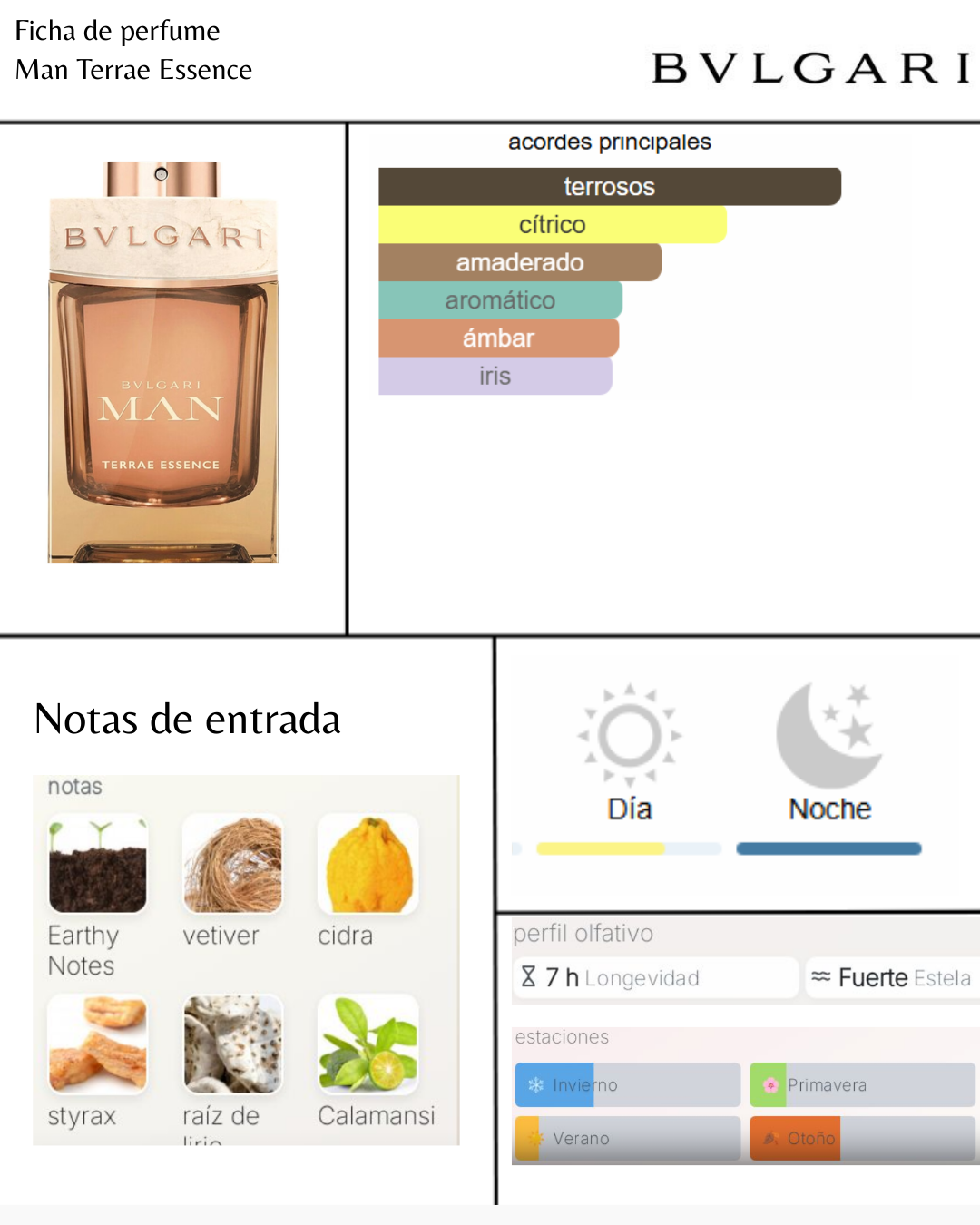 Bvlgari Man Terrae Essence