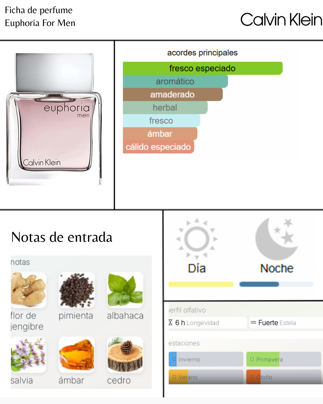 Calvin Klein Euphoria Men