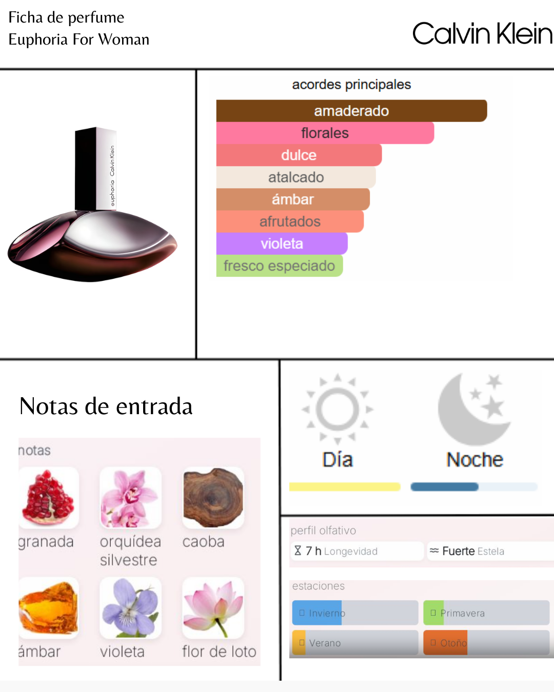 Calvin Klein Euphoria For Women