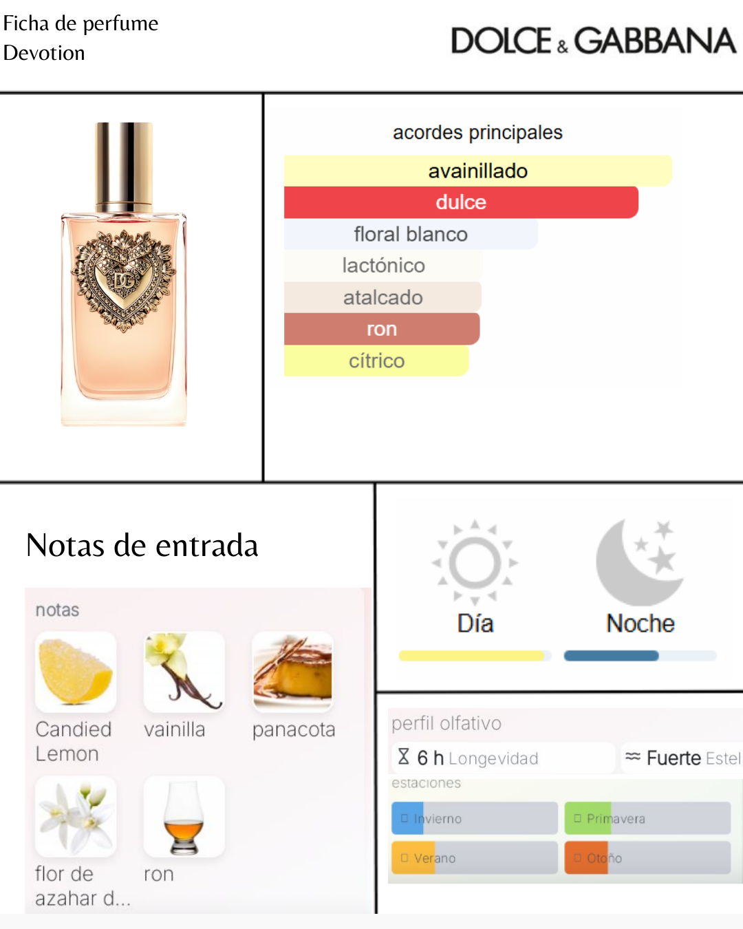 Dolce Gabbana Devotion