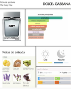 Dolce&Gabbana The One Grey