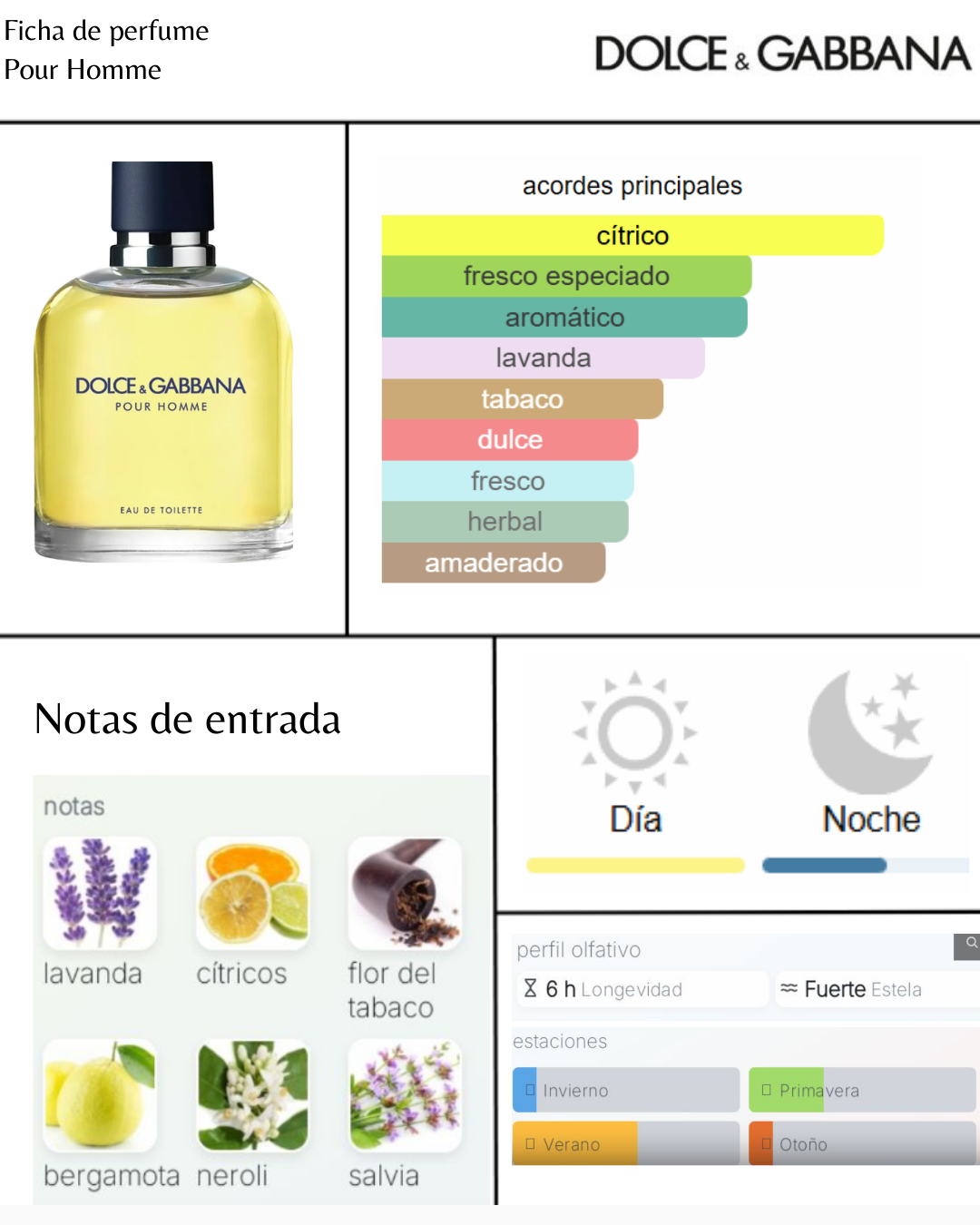 Dolce & Gabbana Pour Homme