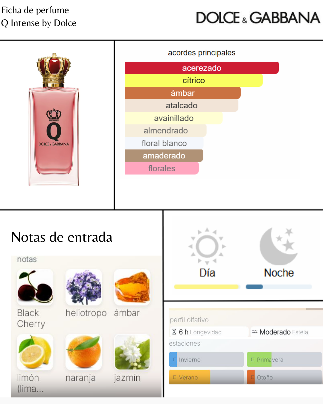 Dolce & Gabbana Q by Dolce & Gabanna Intense