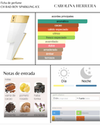 CH BAD BOY SPARKLING ICE