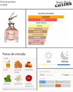 Jean Paul Gaultier Scandal for her