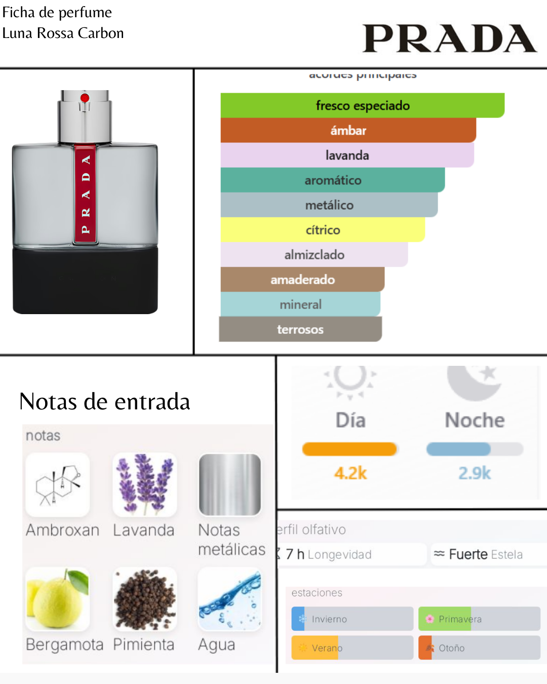 Prada Luna Rossa