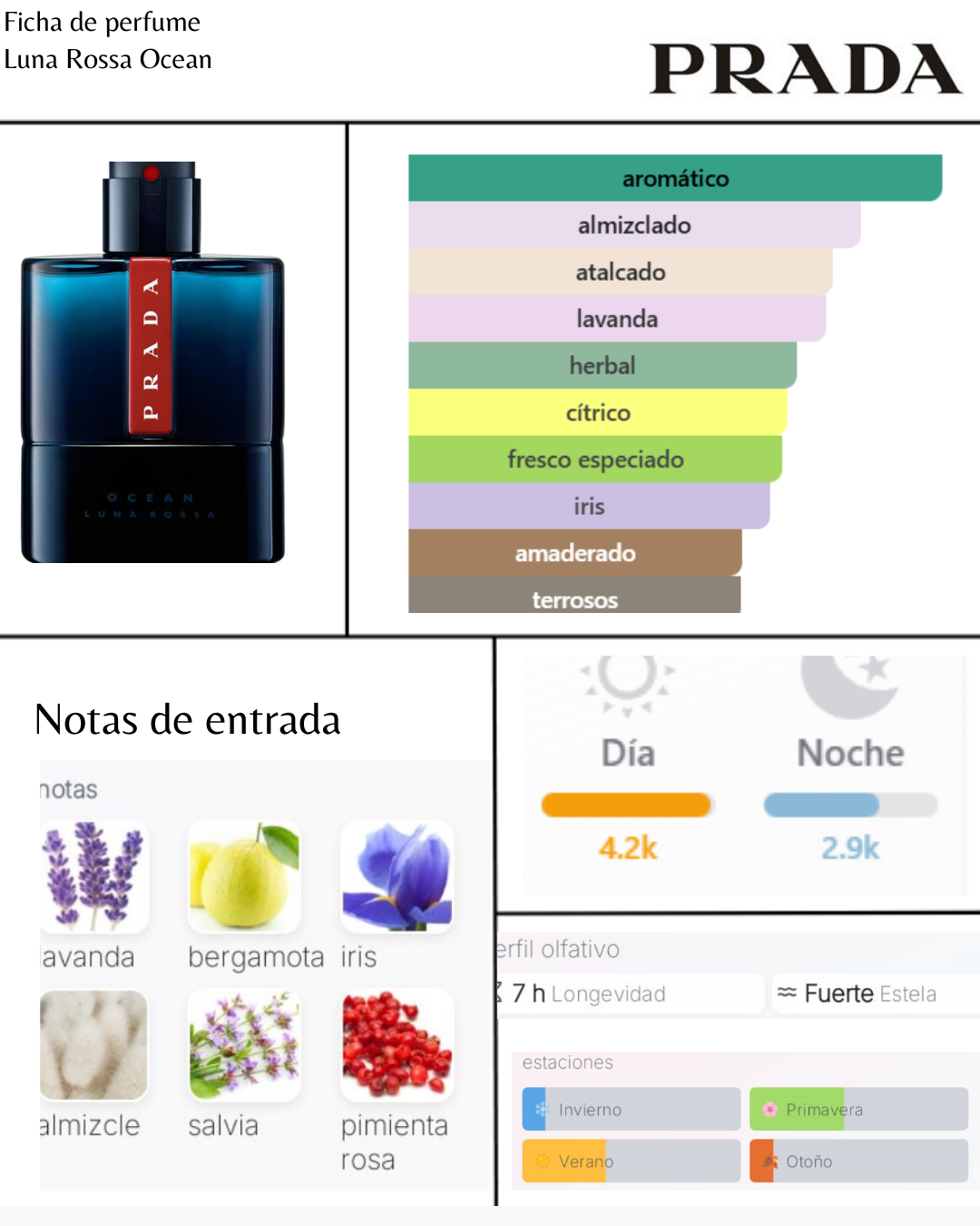 Prada Luna Rossa Ocean EDT