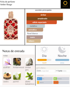 Orientica Amber Rouge