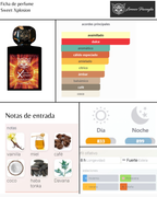 Lorenzo Pazzaglia Sweet Xplosion