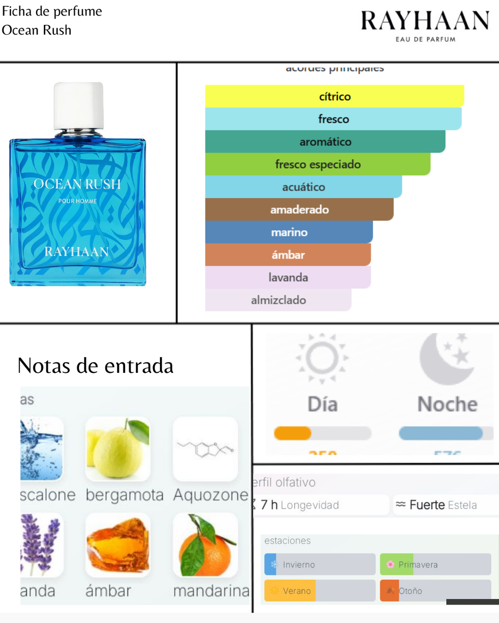 Rayhaan Ocean Rush
