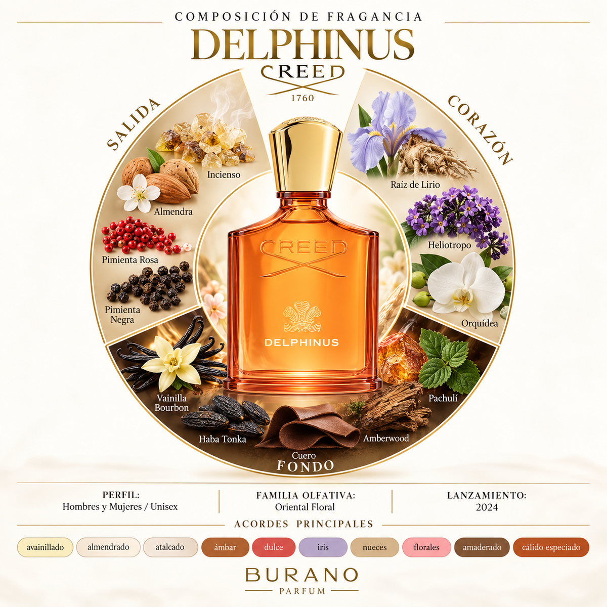 Delphinus